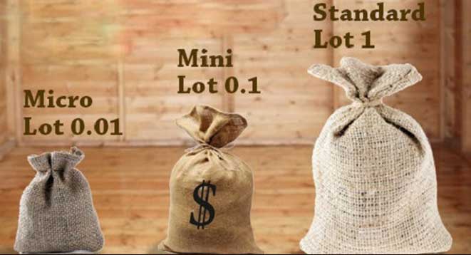 لات و میکرو لات چیست؟ 
