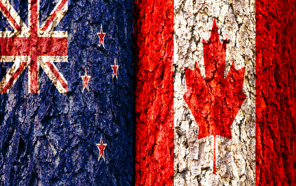 تحلیل NZD/CAD از نگاه کارشناسان مونتا مارکتس؛ روند صعودی ادامه‌دار است؟