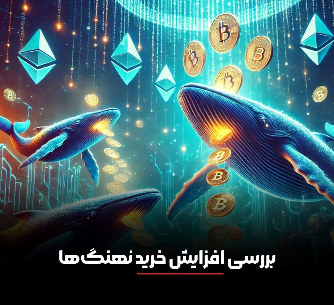 بررسی افزایش خرید نهنگ‌ها